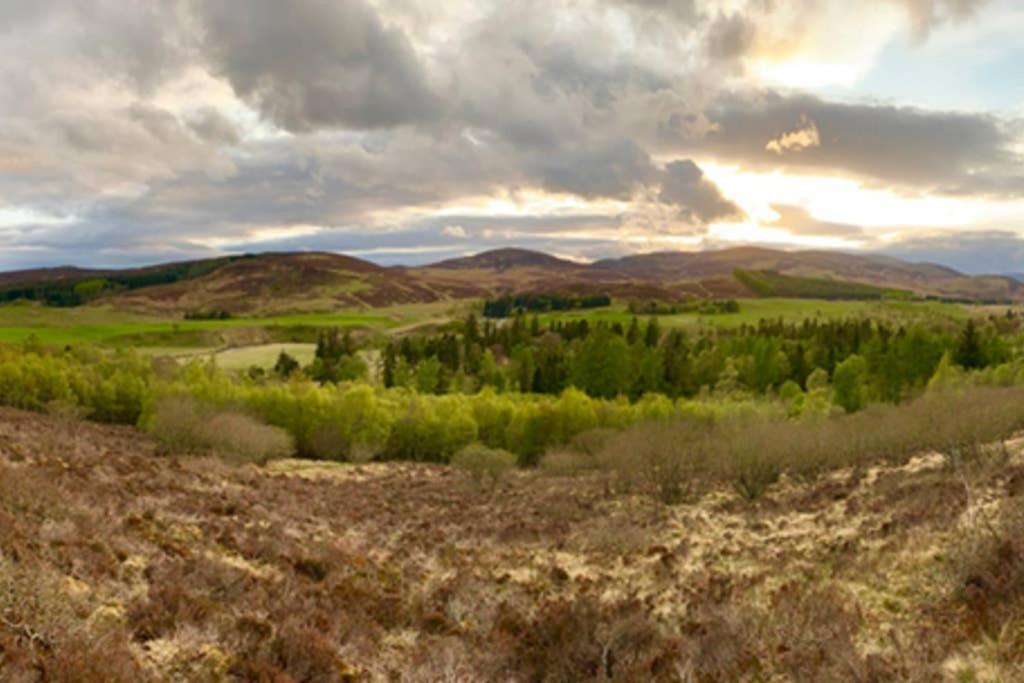 Blairbeg Cottage Blairgowrie and Rattray المظهر الخارجي الصورة